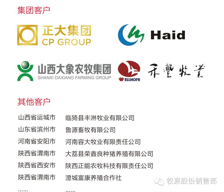 牧原商品猪、仔猪、怀孕母猪介绍-怀孕期