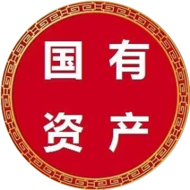 国有资产