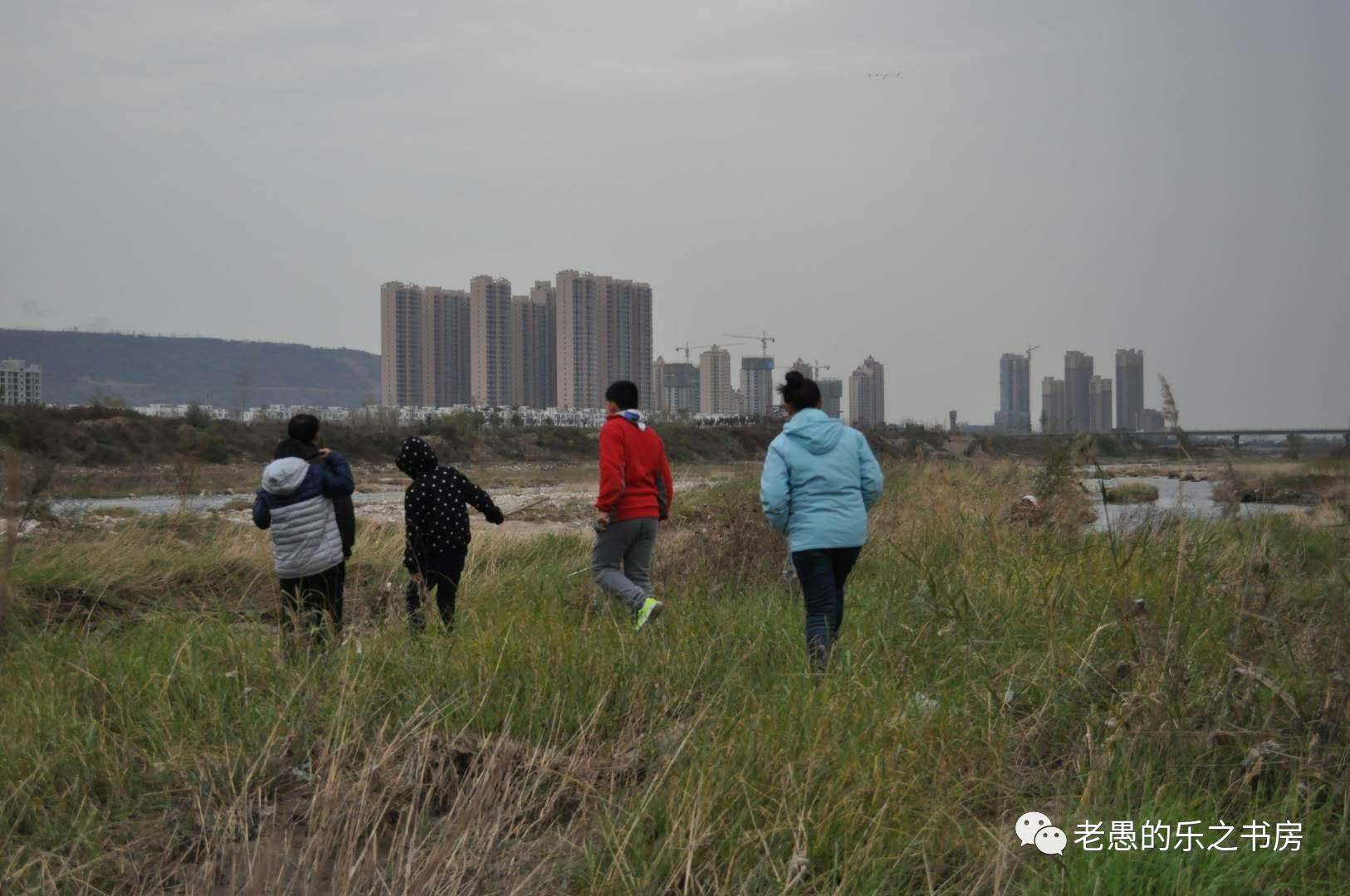 《诗经-蒹葭》公开课教学总结