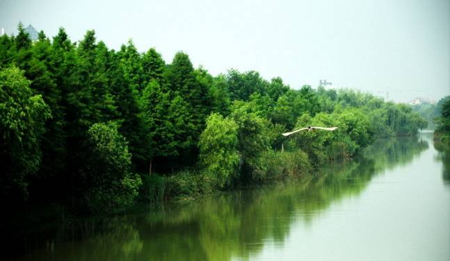 杭州g20峰会哪一年召开_g20在杭州哪里举行_g20为什么在杭州举行