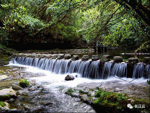 長(zhǎng)陽(yáng)崩尖子國(guó)家級(jí)自然保護(hù)區(qū)（新建）