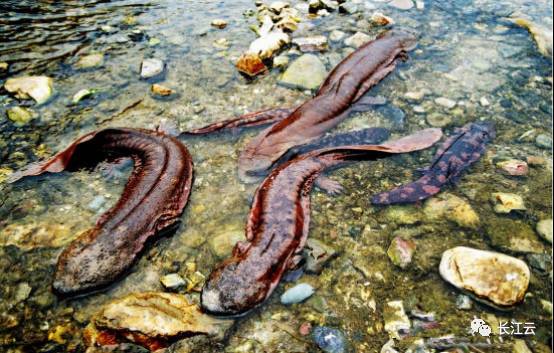 木林子國(guó)家級(jí)自然保護(hù)區(qū)