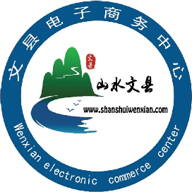 文县电子商务中心