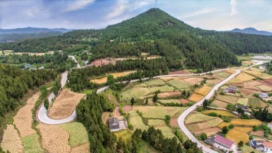 硬路肩和土路肩_路肩墙_路肩与培土路肩