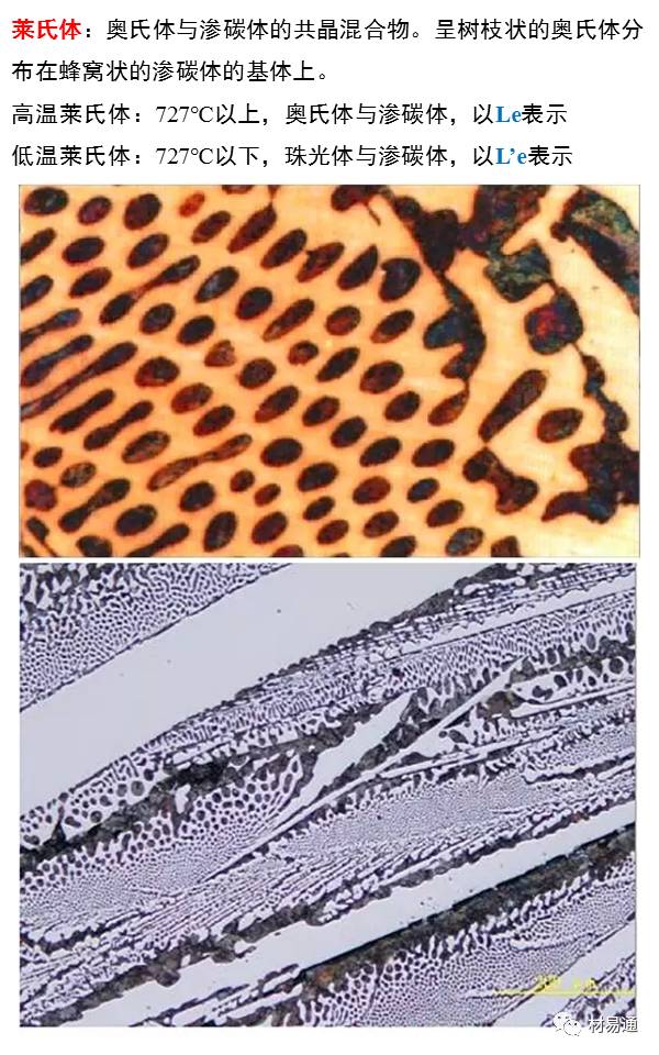 【图文详解】一组图看懂铁碳相图及组织（附讲解动画哦）转自材易通的图29