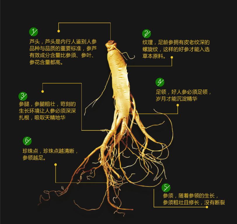 萃取纯植物人参魔法梳,黑发轻松变白发,全自动泡沫染发神器