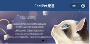 FeelPet-宠物服务