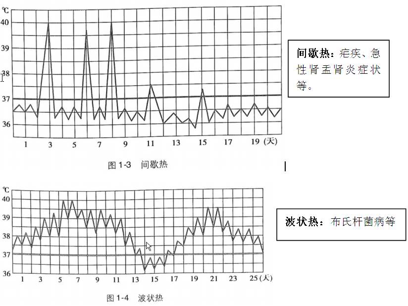 3,诊断参考:热型——稽留热,消耗热,间歇热等;2,病历损害:中枢功能