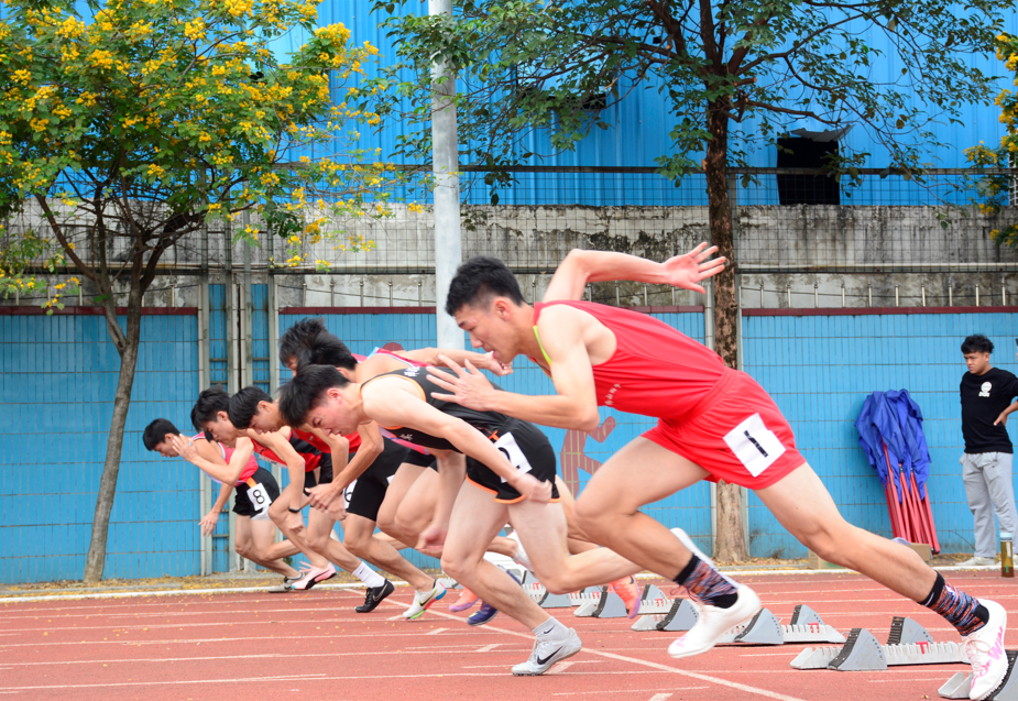 运动员们团结互助,顽强拼搏的景象随处可见,充分展现出禅城区中小学生