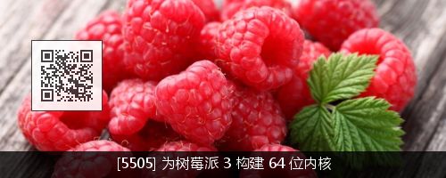 树莓派 3 新手指南 | Linux 中国