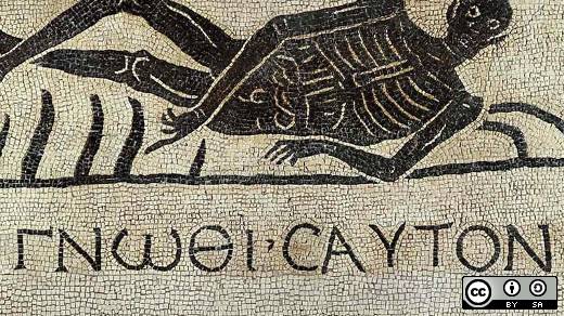 如何开始学习编程？