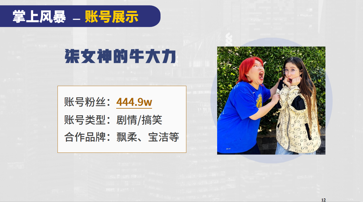 掌上风暴MCN机构