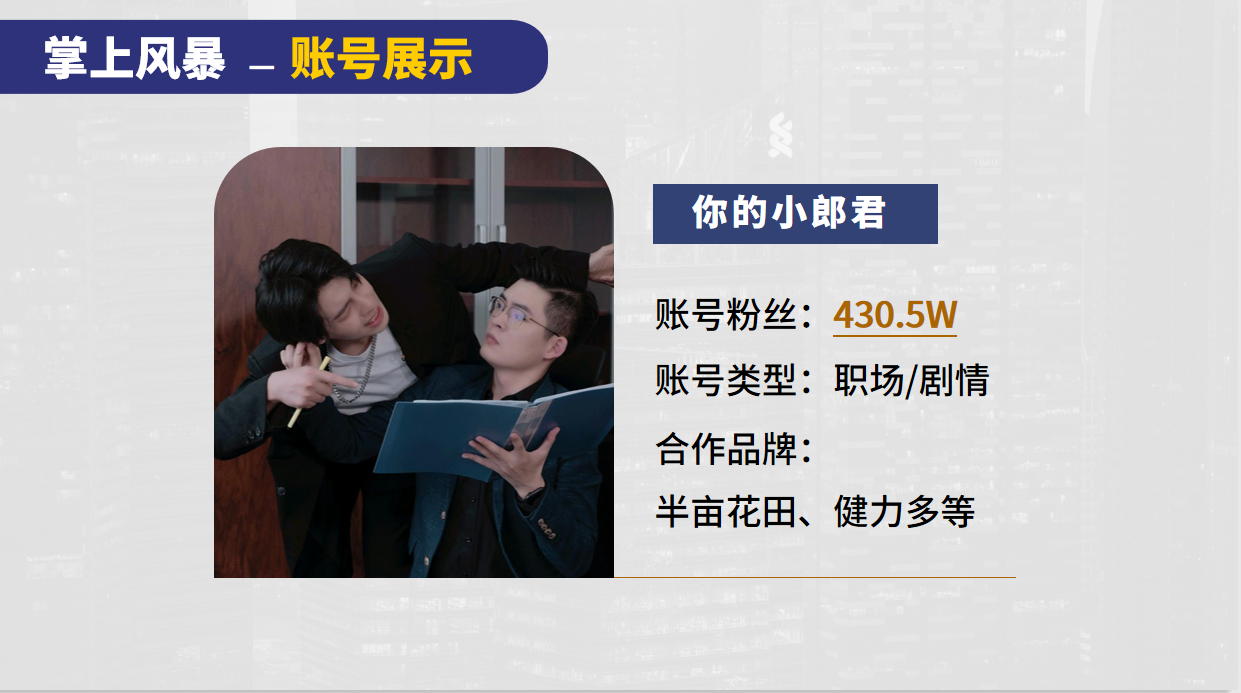 掌上风暴MCN机构