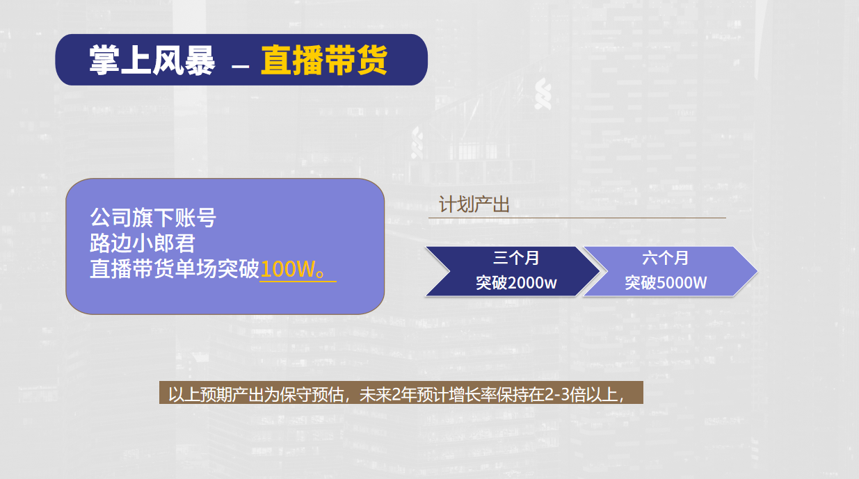 掌上风暴MCN机构