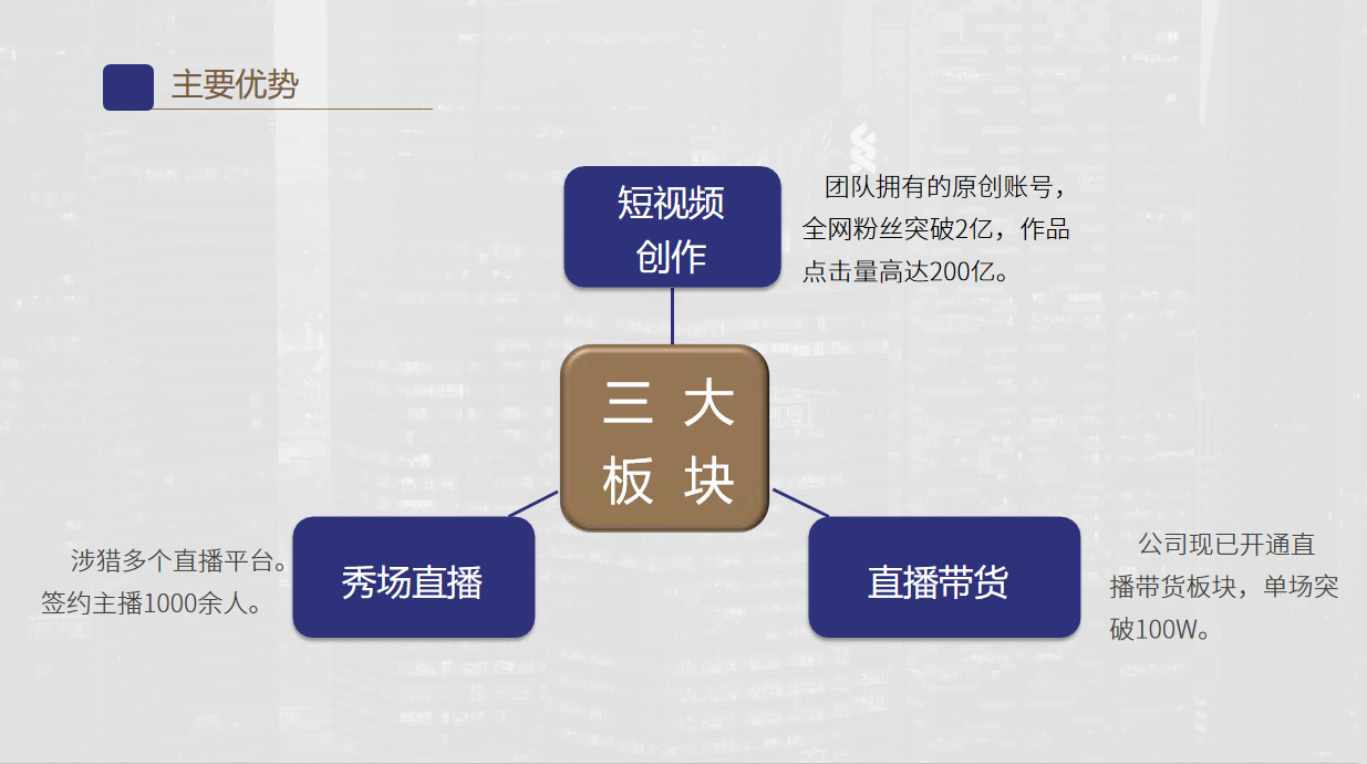 掌上风暴MCN机构