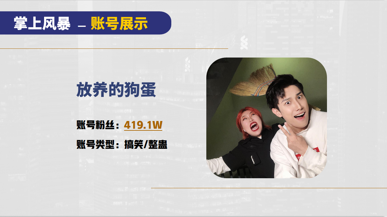 掌上风暴MCN机构