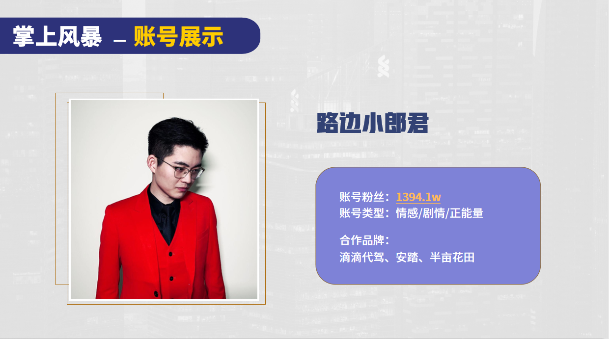 掌上风暴MCN机构