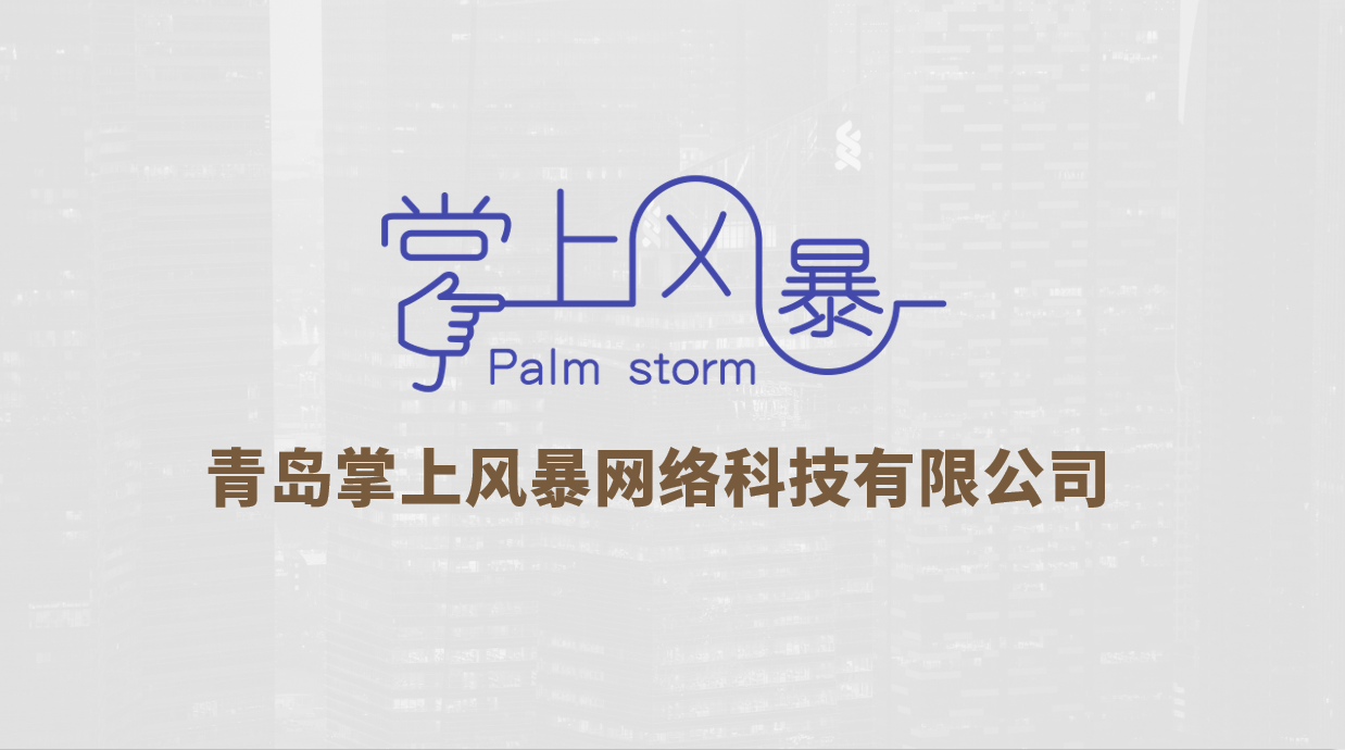 掌上风暴MCN机构