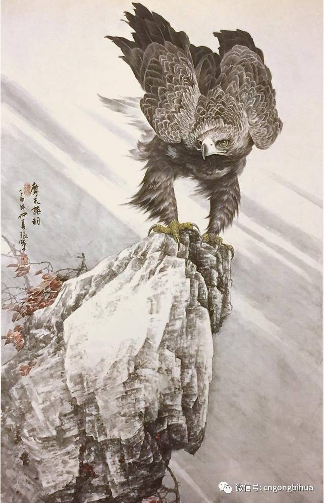 中国画工笔鹰技法手把手教你画鹰方法零基础也能画出展翅雄鹰