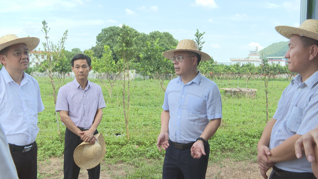 刘裕君到新铺镇督导垦造水田光伏小镇项目建设工作全力