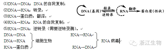 中心法则: 最先是由克里克命名,指的是遗传信息传递的一般规律.