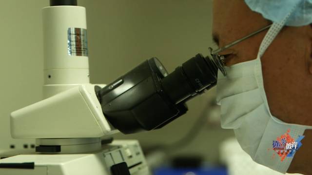 美國移民小孩_在美國生孩子移民_移民生美國孩子有**嗎