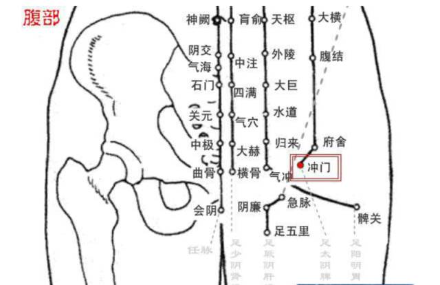 腹部经过任脉,足少阴肾经,足厥阴肝经,足阳明胃经,足太阴脾经.