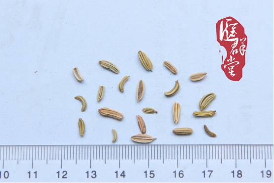 小茴香鉴别要点
