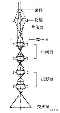 ▍成像原理:tem是利用电磁透镜成像,由物镜,中间镜和投影镜成像.