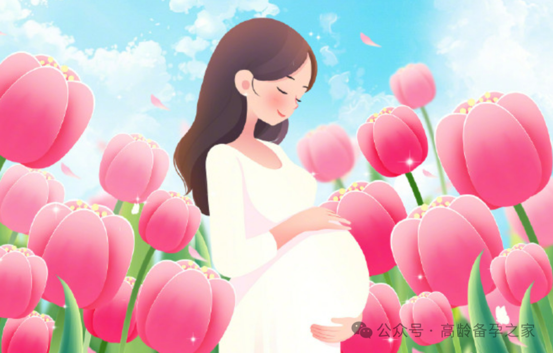 辞职做试管？请假困难的女人还有哪些选择避免焦虑？