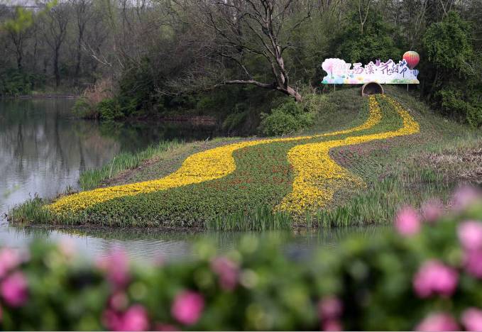 白碧桃_白碧桃花是什么游戏_白碧桃图片