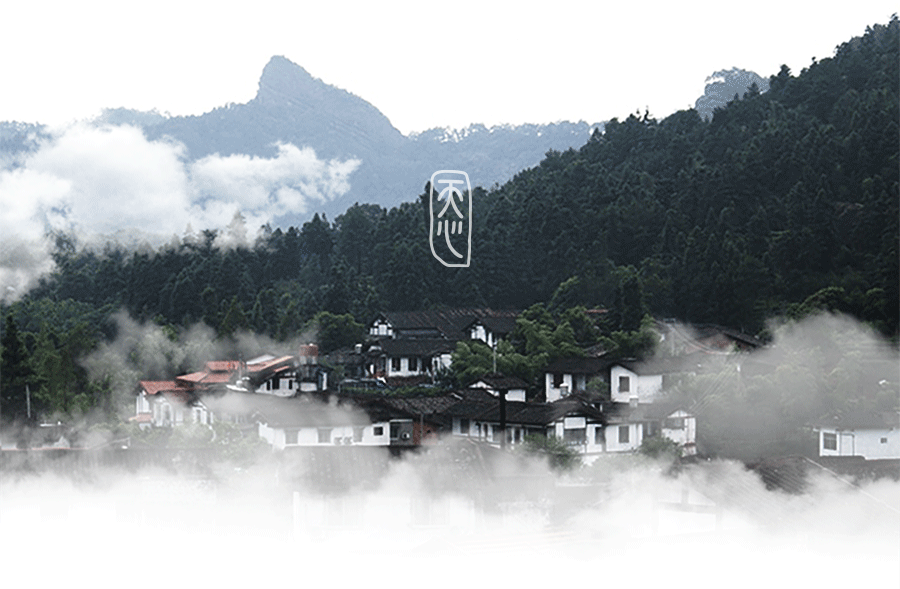 岩茶教室 福利区
