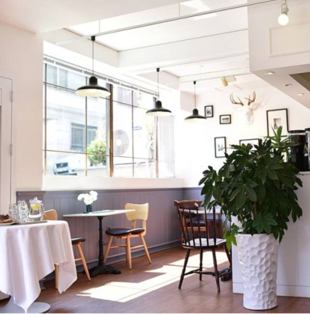 打着喝咖啡的旗号，去韩国做个水当当的美人儿！