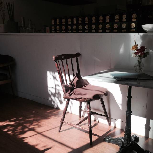 打着喝咖啡的旗号，去韩国做个水当当的美人儿！