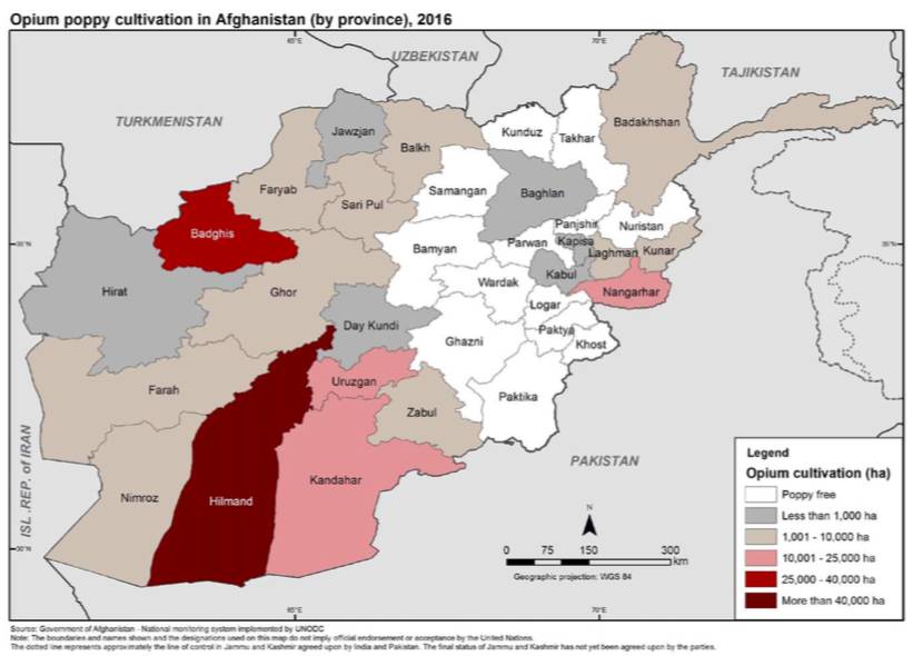 (阿富汗各省罂粟种植分布图) 请点击图片查看详情