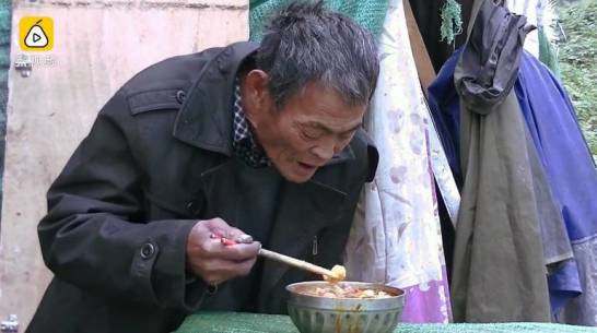 资讯短视频风口猪多风大，他们是三匹黑马还是三只领头羊？