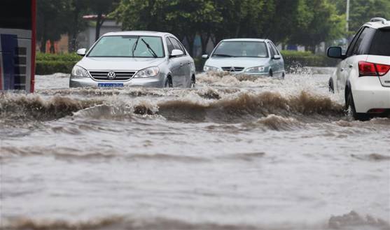 资讯短视频风口猪多风大，他们是三匹黑马还是三只领头羊？