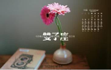 震惊！深扒50位自媒体大咖，最适合做自媒体的星座竟然是它！