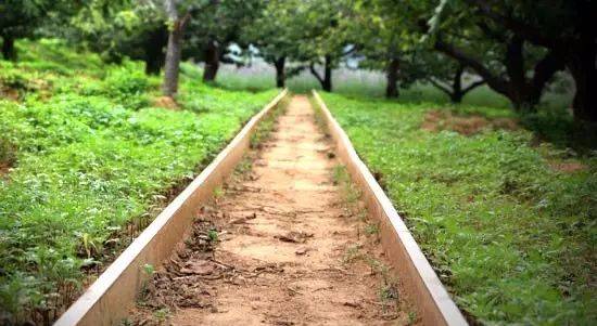 ػʵصıγ40 һͽҰ԰ 