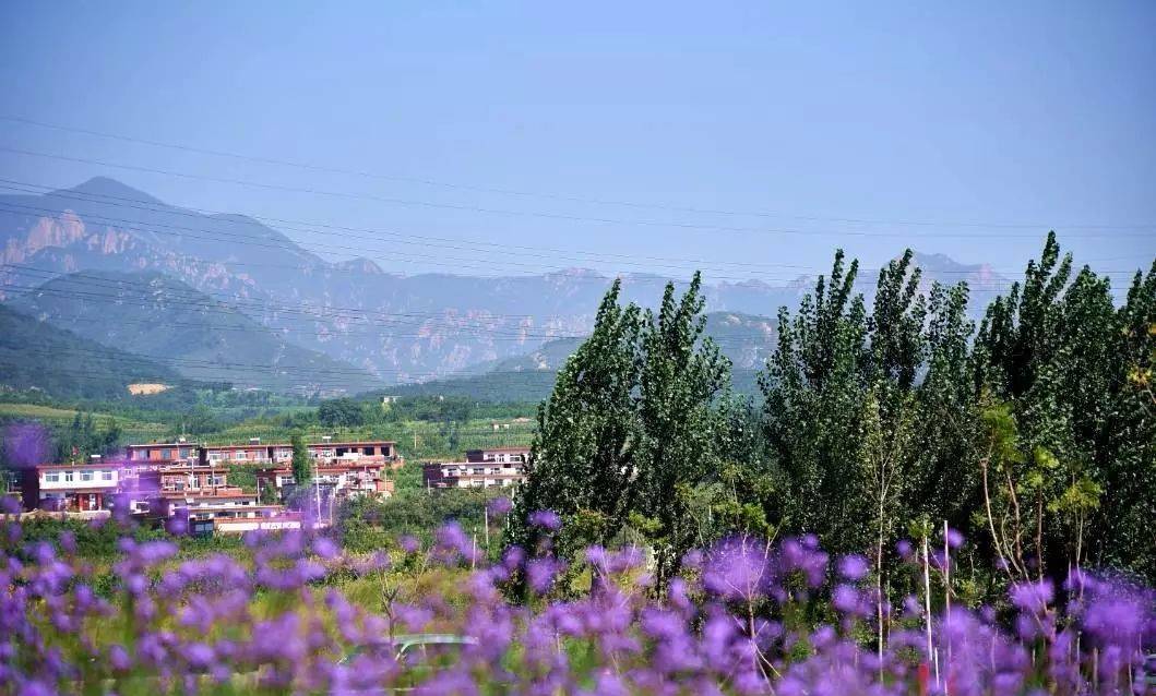 ػʵصıγ40 һͽҰ԰ 