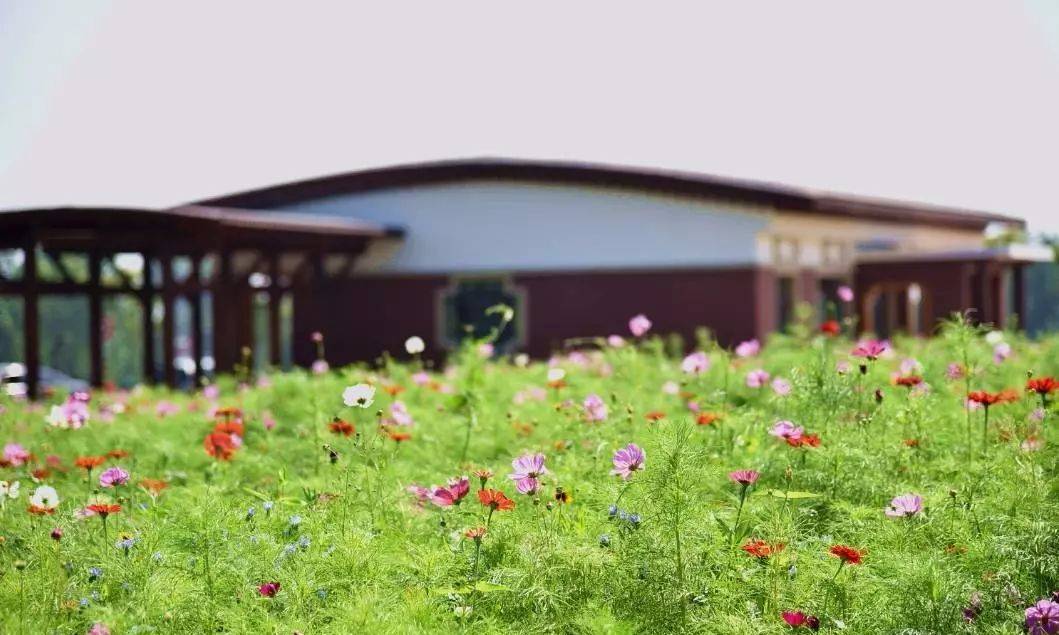 ػʵصıγ40 һͽҰ԰ 