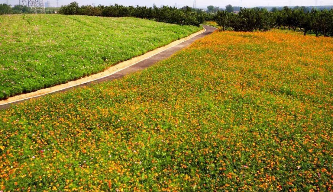 ػʵصıγ40 һͽҰ԰ 