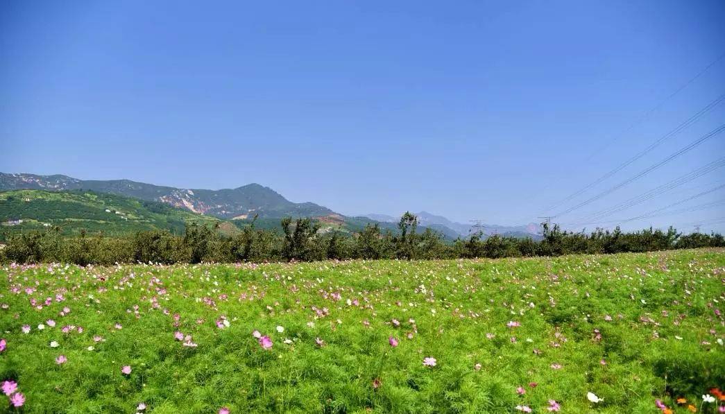 ػʵصıγ40 һͽҰ԰ 