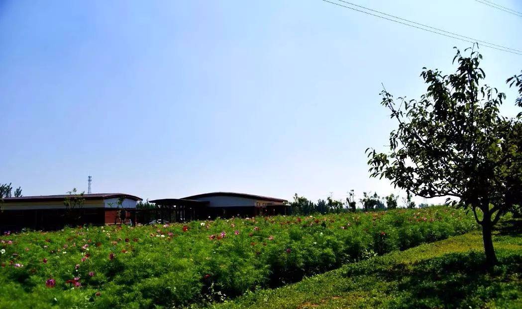 ػʵصıγ40 һͽҰ԰ 