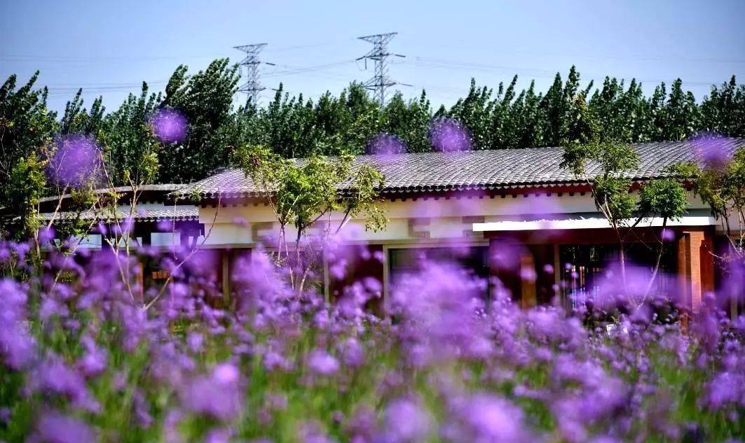 ػʵصıγ40 һͽҰ԰ 