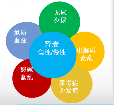 血滤机什么品牌好千呼万唤始出来！北京首台动物专用血滤机现已入驻全心全意连锁动物医院！肾衰小动物的福音！_https://www.jmylbn.com_新闻资讯_第7张