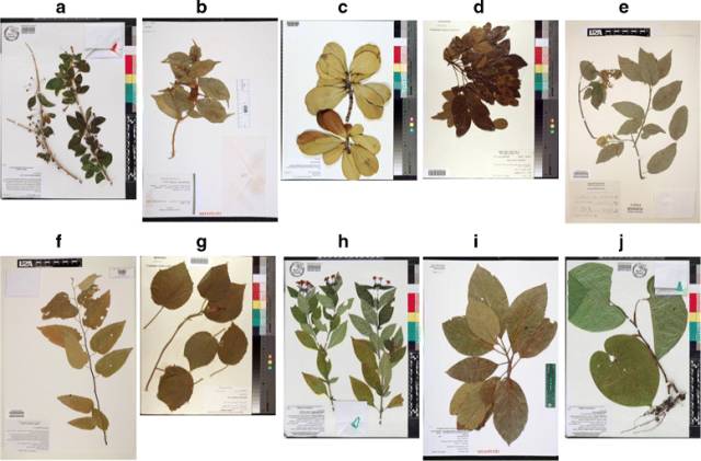 640?wx_fmt=gif&wxfrom=5&wx_lazy=1