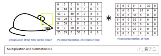 640?wx_fmt=png&wxfrom=5&wx_lazy=1