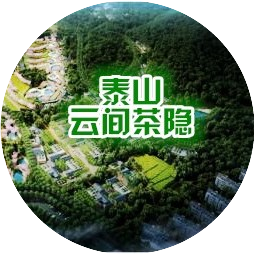 泰山云间茶隐