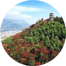 乡愁故里桃城镇